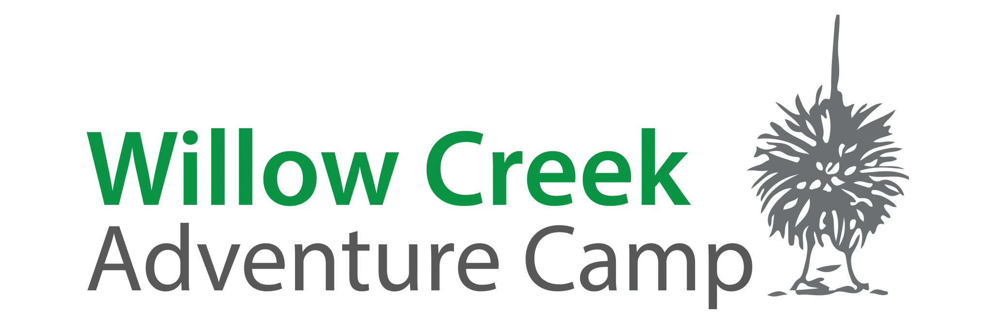 Willow-Creek-Adventure-Camp