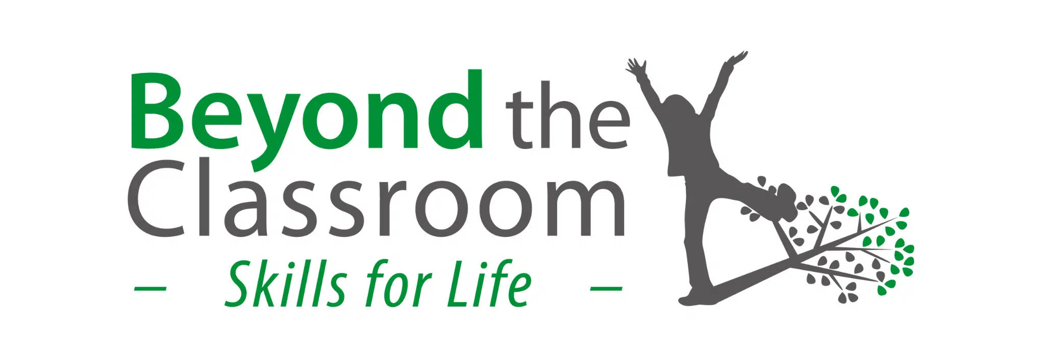 beyond-the-classroom-logo